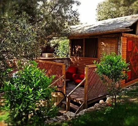 Kamp alanı The Shambala *