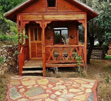 The Shambala * Muğla