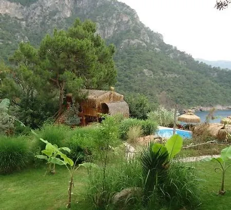 The Shambala Campsite