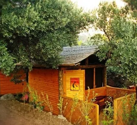The Shambala Campsite *