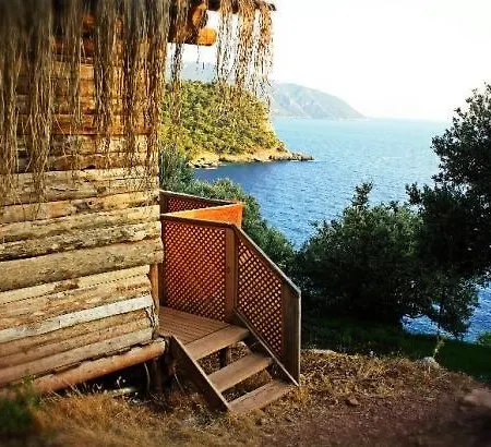 Campsite The Shambala *