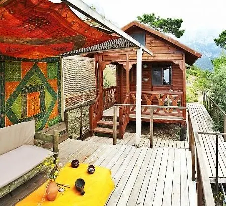 Campsite The Shambala *